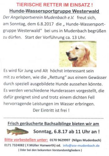 002-2017-Flyer-Hafenfest.jpg