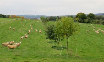006-Wanderung Okt. 2017.jpg