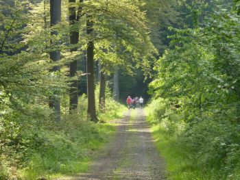 006-beim alten Kirchweg (1).JPG