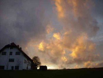 015-Waldbegang_Nov-2009.jpg