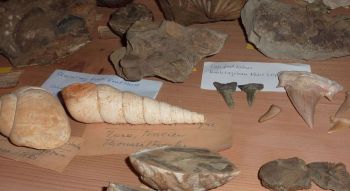 1010-Mineraliensammlung-Schrank.jpg