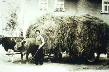 1952-Ernteeinfuhr durch Richard Lotz.jpg