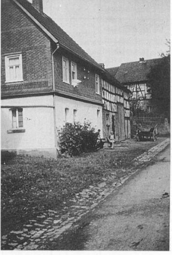 54-b-Krestjes-Dressel-im-Hintergrund.jpg