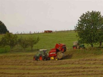 023-Heuernte-2008-in-Mudenbach.jpg