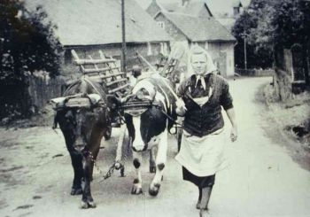 028-Erna-Thiel-im-Ernteeinsatz.jpg
