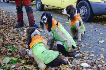 2014-11-Drueckjagd_20.jpg