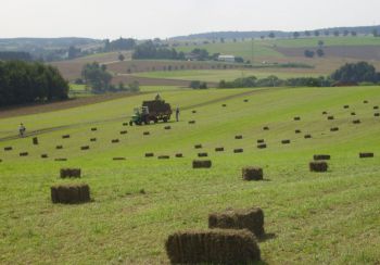 2008-Heuernte-in-Hanwerth (1).JPG
