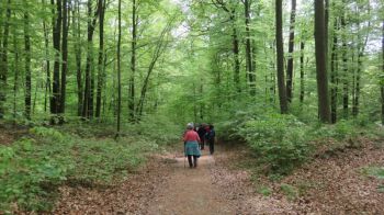 2018_05-Wanderung im Mai_07.jpg
